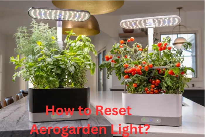 How to Reset Aerogarden Light (2)